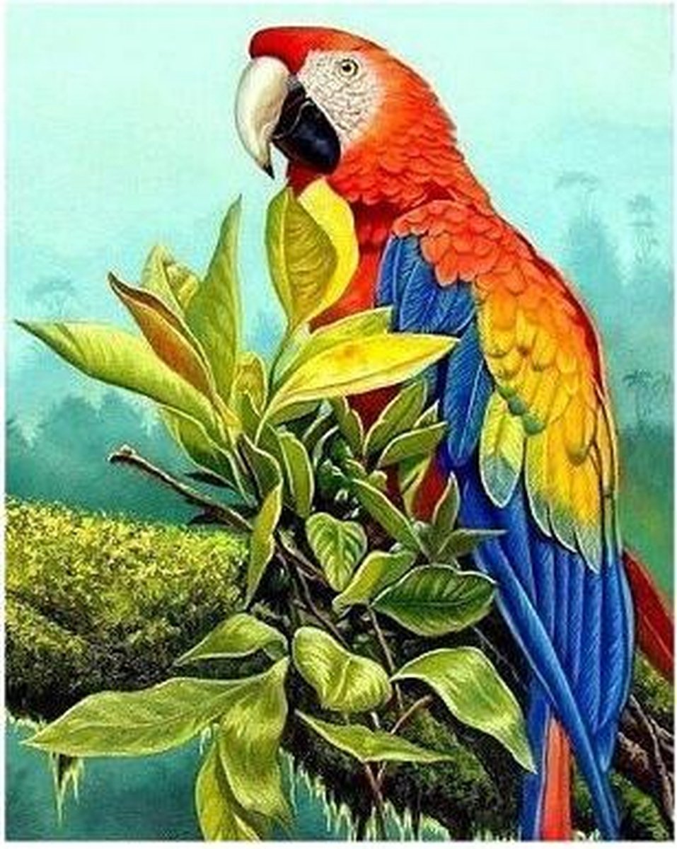Exotic Bird Dart Diamond Painting